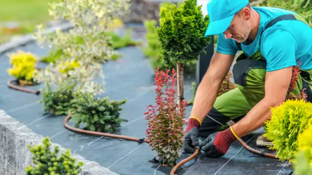 Landscaper working on irrigation